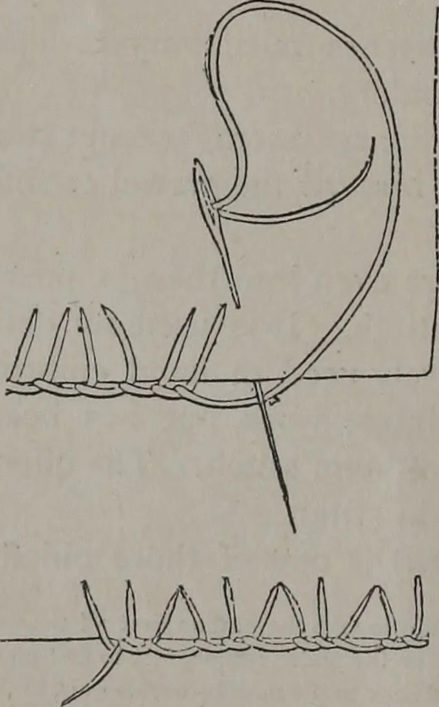 An illustration from Art-needlework for decorative embroidery : a guide to embroidery in crewels, silks, appliqué, etc. ..., 1879, leaf 11