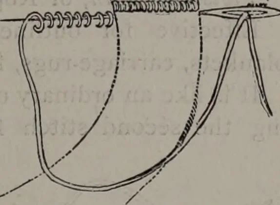 An illustration from Art-needlework for decorative embroidery : a guide to embroidery in crewels, silks, appliqué, etc. ..., 1879, leaf 14