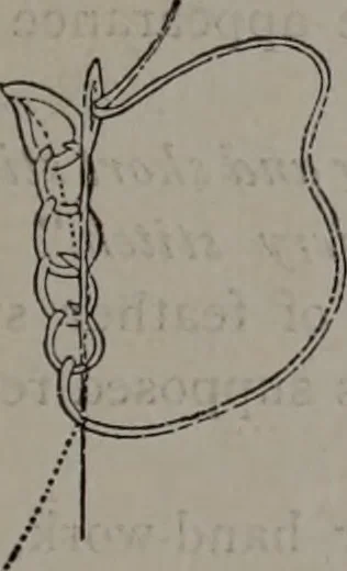An illustration from Art-needlework for decorative embroidery : a guide to embroidery in crewels, silks, appliqué, etc. ..., 1879, leaf 14