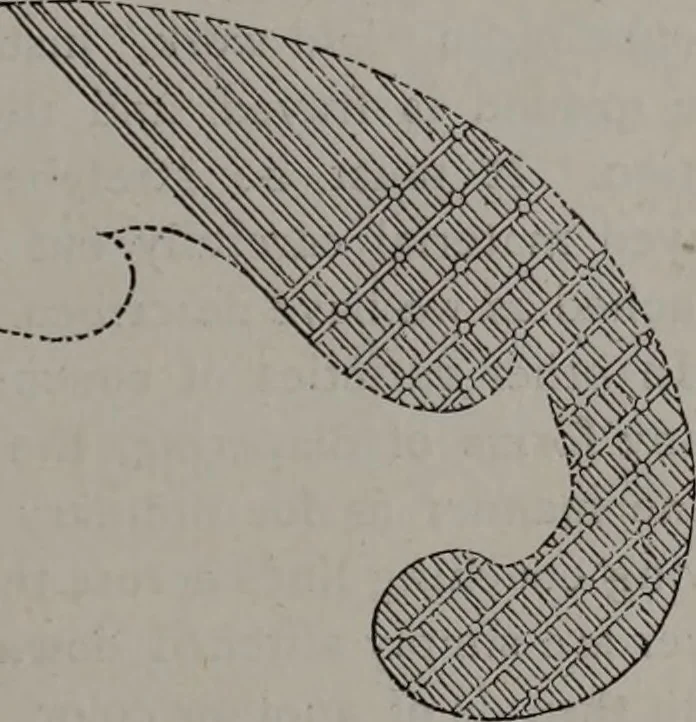 An illustration from Art-needlework for decorative embroidery : a guide to embroidery in crewels, silks, appliqué, etc. ..., 1879, leaf 20