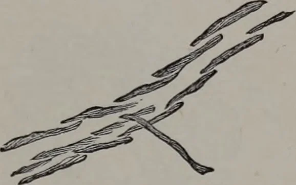 An illustration from Art-needlework for decorative embroidery : a guide to embroidery in crewels, silks, appliqué, etc. ..., 1879, leaf 50