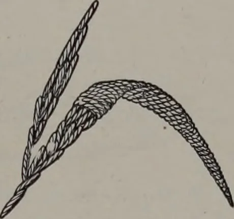 An illustration from Art-needlework for decorative embroidery : a guide to embroidery in crewels, silks, appliqué, etc. ..., 1879, leaf 52