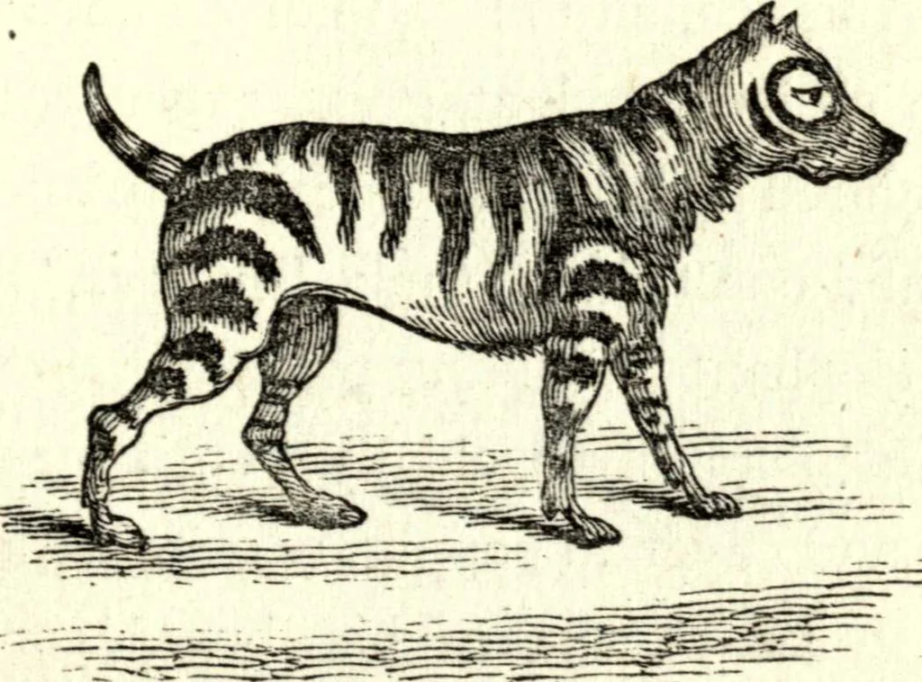 An illustration from The art of amusing : being a collection of graceful arts, merry games, odd tricks, curious puzzles, and new charades : together with suggestions for private theatricals, tableaux, and all sorts of parlor and family amusements, 1866, leaf 144