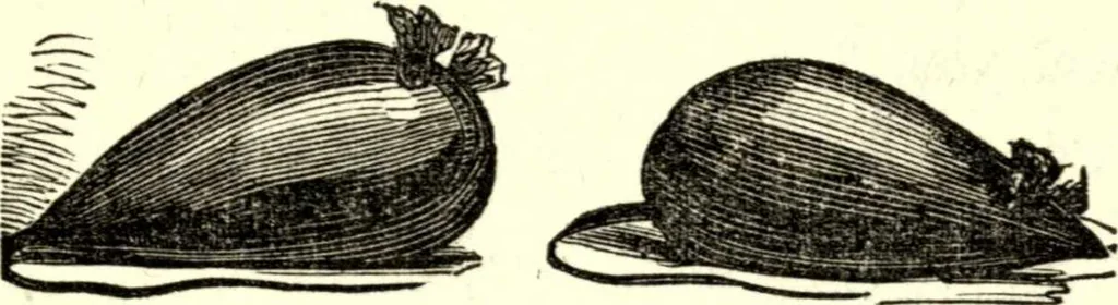 An illustration from The art of amusing : being a collection of graceful arts, merry games, odd tricks, curious puzzles, and new charades : together with suggestions for private theatricals, tableaux, and all sorts of parlor and family amusements, 1866, leaf 72