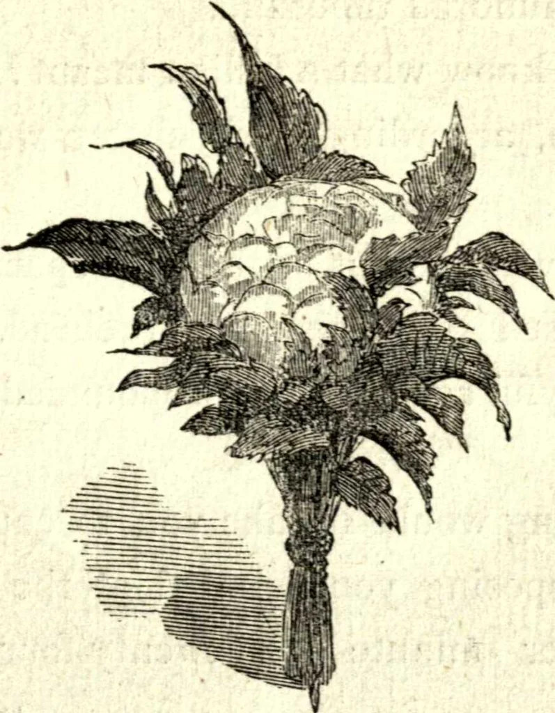 An illustration from The art of amusing : being a collection of graceful arts, merry games, odd tricks, curious puzzles, and new charades : together with suggestions for private theatricals, tableaux, and all sorts of parlor and family amusements, 1866, leaf 76