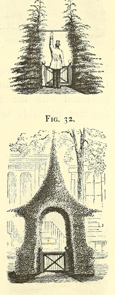 An illustration from The art of beautifying suburban home grounds of small extent : the advantages of suburban homesover city or country homes; the comfort and economy of neighboring improvements; the choice and tre atment of building sites; and the best modes of laying out, planting, and keeping decorated grounds.Illustrated by upwards of two hundred plates and engravings ... With descriptions of the beautiful and hardy trees and shrubs grown in the United States, 1870, leaf 131