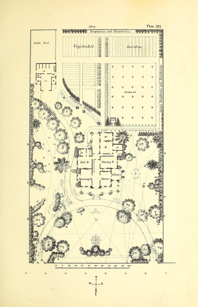 An illustration from The art of beautifying suburban home grounds of small extent : the advantages of suburban homesover city or country homes; the comfort and economy of neighboring improvements; the choice and tre atment of building sites; and the best modes of laying out, planting, and keeping decorated grounds.Illustrated by upwards of two hundred plates and engravings ... With descriptions of the beautiful and hardy trees and shrubs grown in the United States, 1870, leaf 235