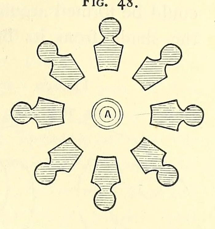 An illustration from The art of beautifying suburban home grounds of small extent : the advantages of suburban homesover city or country homes; the comfort and economy of neighboring improvements; the choice and tre atment of building sites; and the best modes of laying out, planting, and keeping decorated grounds.Illustrated by upwards of two hundred plates and engravings ... With descriptions of the beautiful and hardy trees and shrubs grown in the United States, 1870, leaf 325