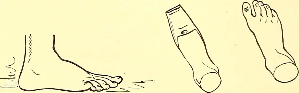 An illustration from The art of beauty, 1883, leaf 109