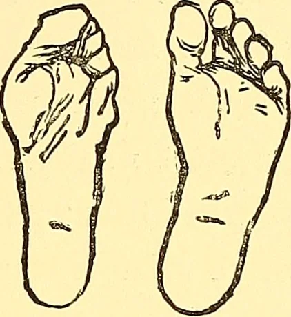 An illustration from The art of beauty, 1883, leaf 110
