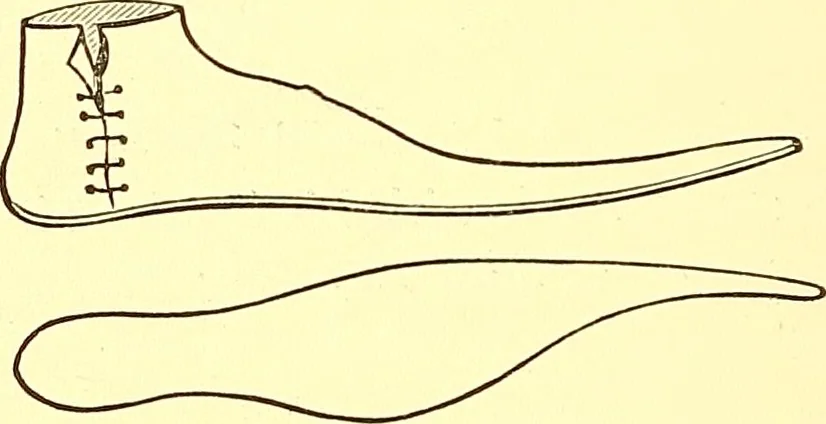 An illustration from The art of beauty, 1883, leaf 111