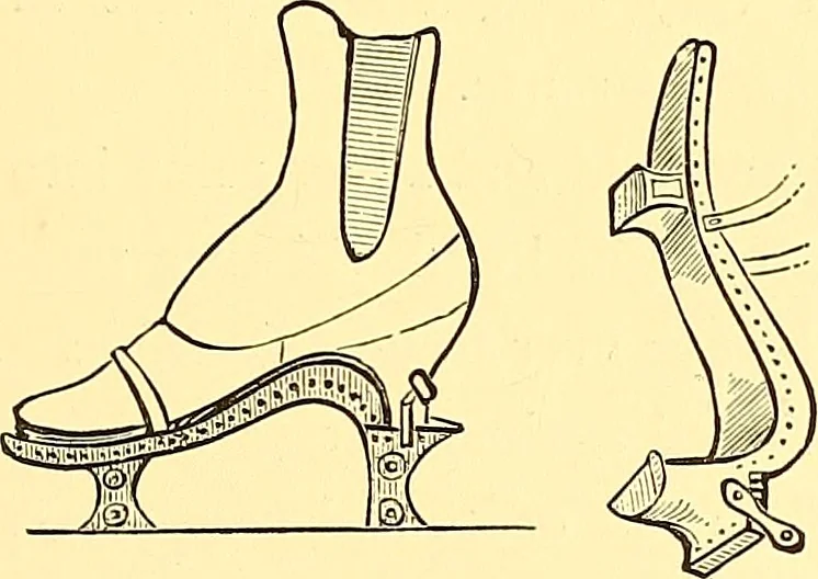 An illustration from The art of beauty, 1883, leaf 118