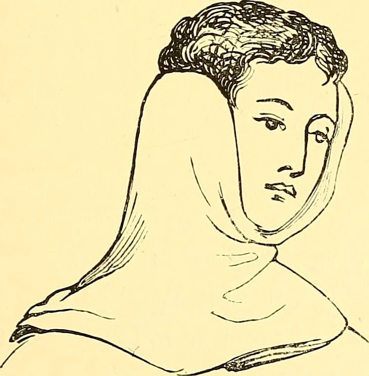 An illustration from The art of beauty, 1883, leaf 162