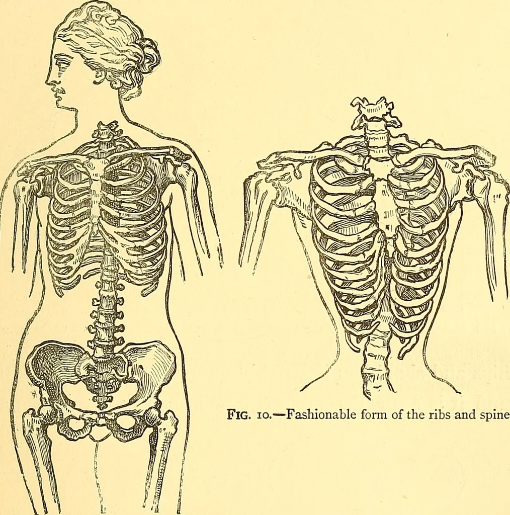 An illustration from The art of beauty, 1883, leaf 70