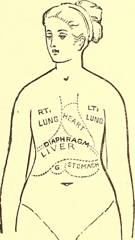 An illustration from The art of beauty, 1883, leaf 71