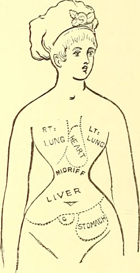 An illustration from The art of beauty, 1883, leaf 71