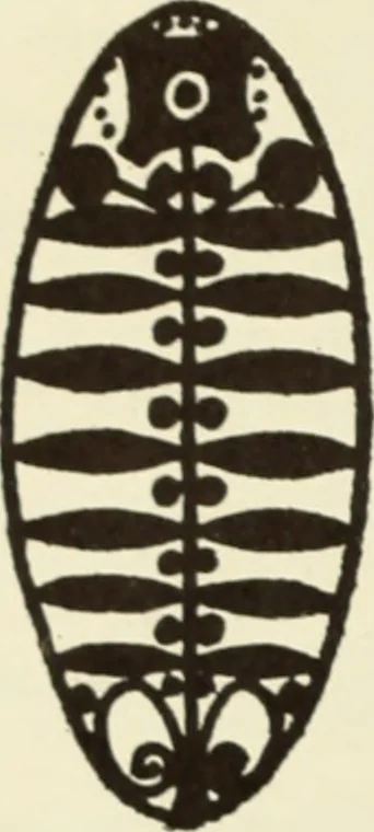 An illustration from The art of the book, 1914, leaf 235