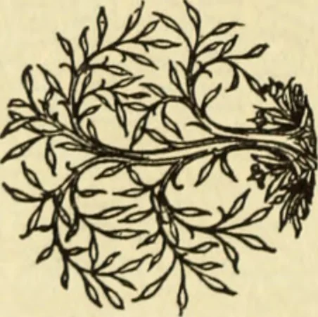 An illustration from The art of the book, 1914, leaf 71