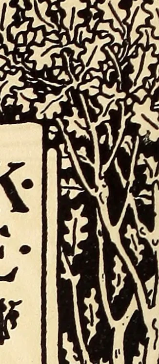 An illustration from The art of the book; a review of some recent European and American work in typography, page decoration & binding, 1914, leaf 63