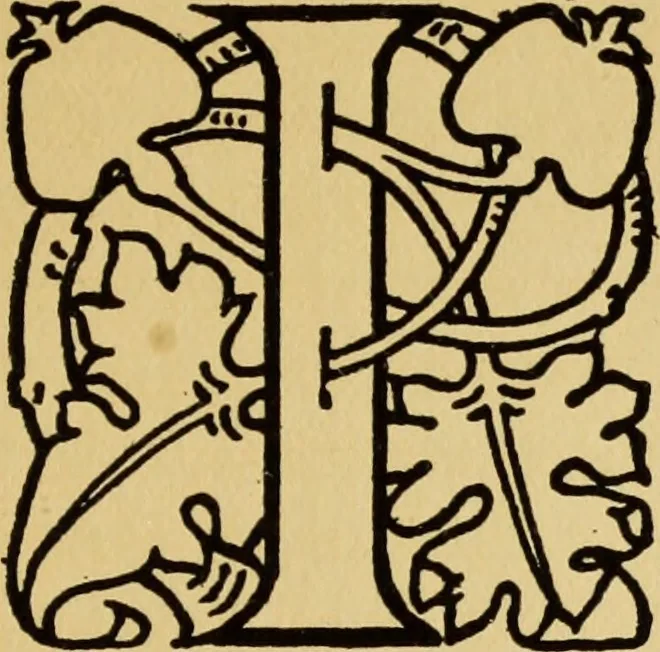 An illustration from The art of building a home. A collection of lectures and illustrations, 1901, leaf 20