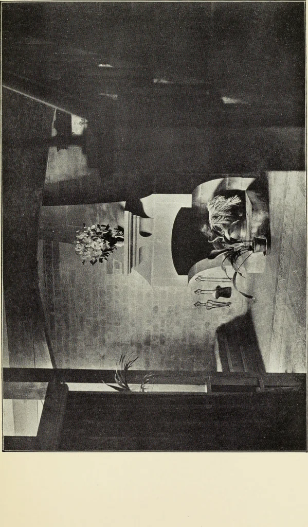 An illustration from The art of building a home. A collection of lectures and illustrations, 1901, leaf 250