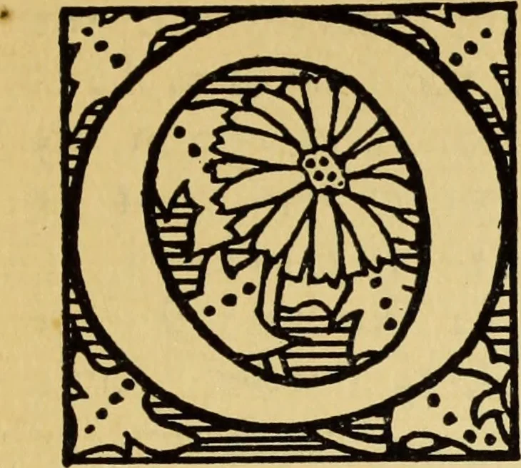 An illustration from The art of building a home. A collection of lectures and illustrations, 1901, leaf 88