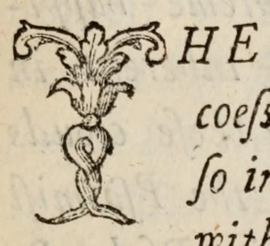 An illustration from The art of contentment, 1675, leaf 5