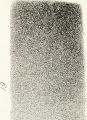 An illustration from The art of drawing on stone, giving a full explanation of the various styles, of the different methods to be employed to ensure success, and of the modes of correcting, as well as of the several causes of failure, 1833, leaf 112