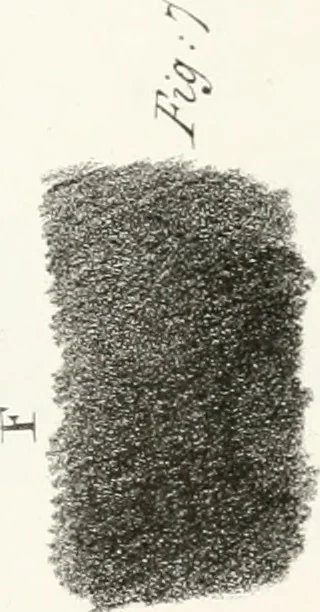 An illustration from The art of drawing on stone, giving a full explanation of the various styles, of the different methods to be employed to ensure success, and of the modes of correcting, as well as of the several causes of failure, 1833, leaf 114