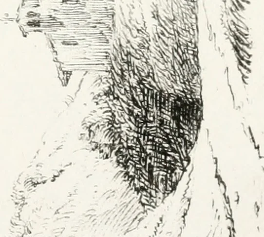 An illustration from The art of drawing on stone, giving a full explanation of the various styles, of the different methods to be employed to ensure success, and of the modes of correcting, as well as of the several causes of failure, 1833, leaf 118
