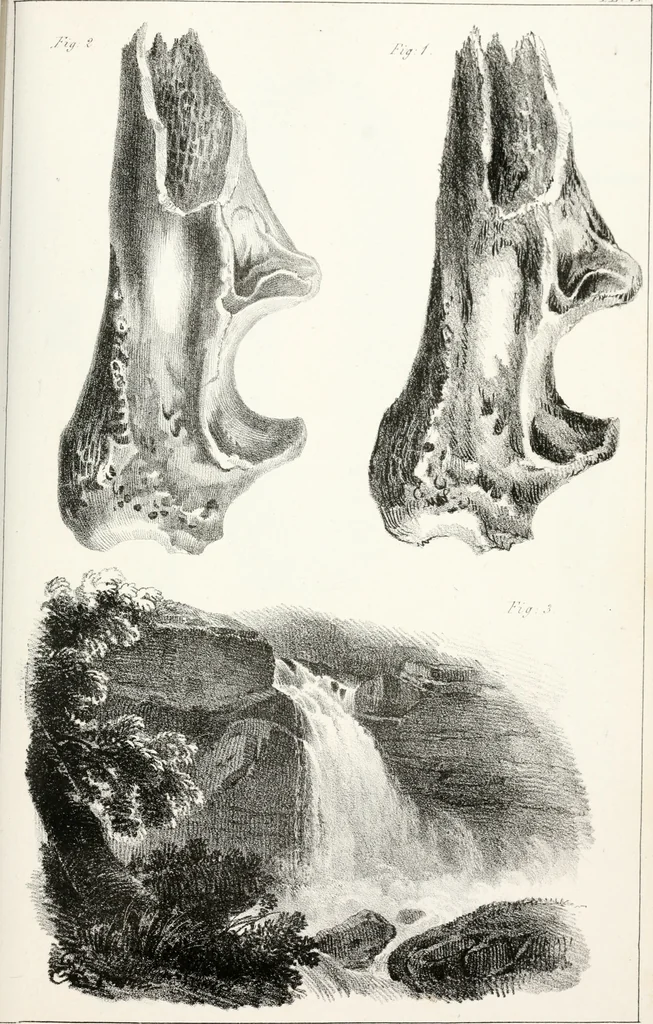 An illustration from The art of drawing on stone, giving a full explanation of the various styles, of the different methods to be employed to ensure success, and of the modes of correcting, as well as of the several causes of failure, 1833, leaf 120