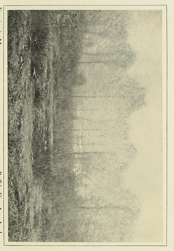 An illustration from The art of Dwight W. Tryon : an appreciation, 1909, leaf 65