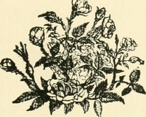 An illustration from The art of England, lectures given in Oxford, 1889, leaf 10