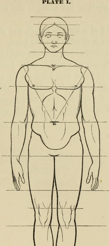 An illustration from The art of figure drawing : containing practical instructions for a course of study in this branch of art, 1852, leaf 16