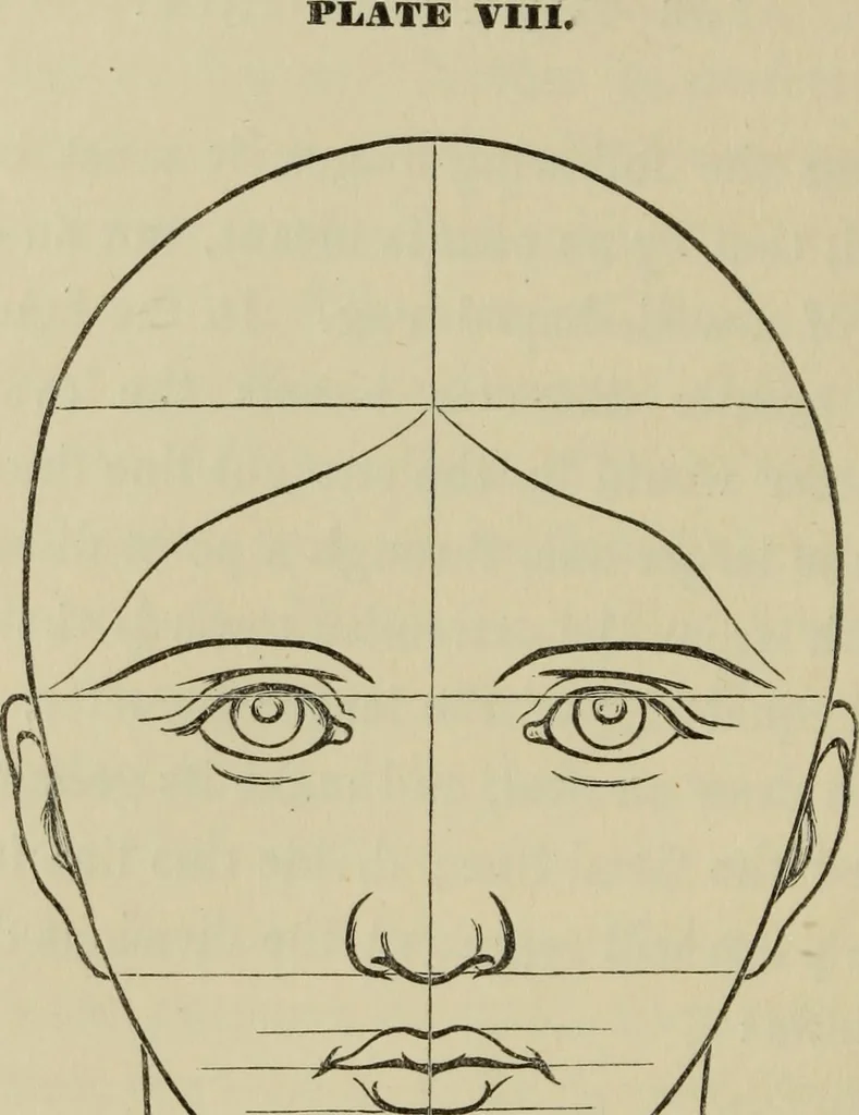 An illustration from The art of figure drawing : containing practical instructions for a course of study in this branch of art, 1852, leaf 31