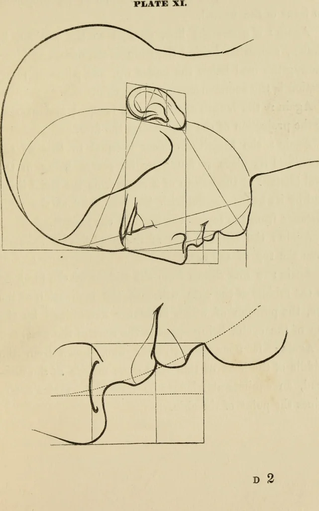 An illustration from The art of figure drawing : containing practical instructions for a course of study in this branch of art, 1852, leaf 38