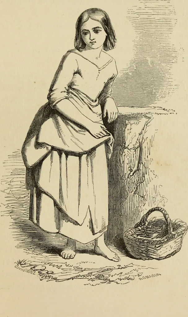 An illustration from The art of figure drawing : containing practical instructions for a course of study in this branch of art, 1852, leaf 50