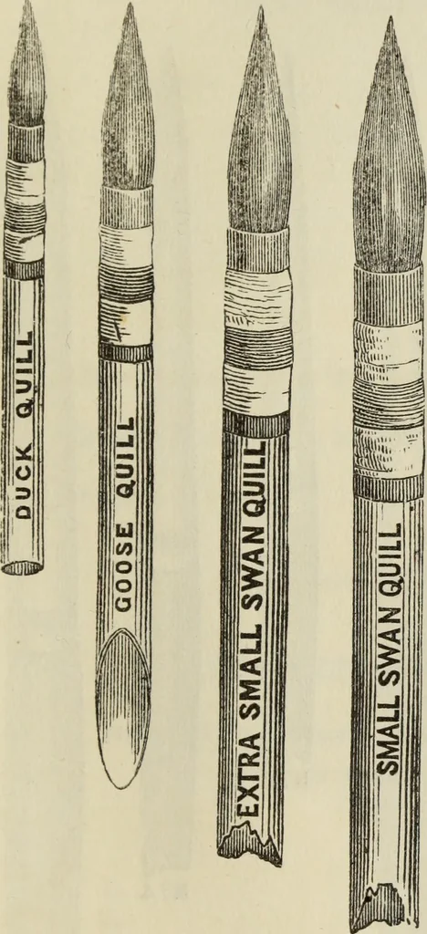 An illustration from The art of figure drawing : containing practical instructions for a course of study in this branch of art, 1852, leaf 78