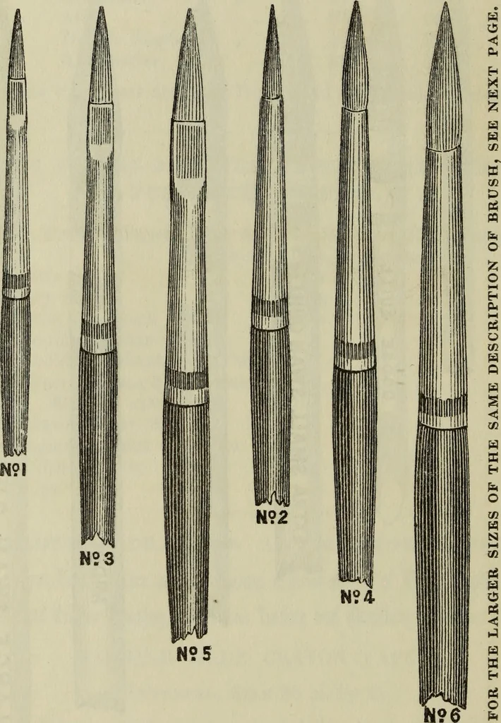 An illustration from The art of figure drawing : containing practical instructions for a course of study in this branch of art, 1852, leaf 79