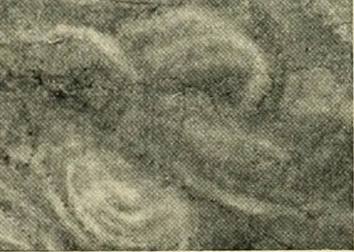 An illustration from The art of the great masters, as exemplified by drawings in the collection of Émile Wauters, membre de l'Académie royale de Belgique, 1913, leaf 104