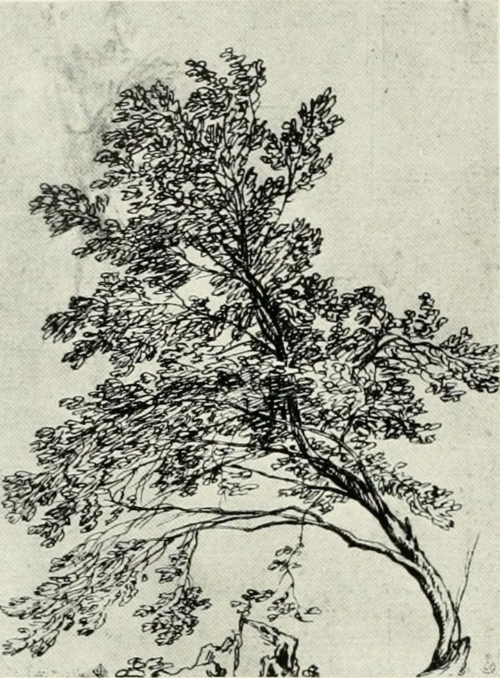 An illustration from The art of the great masters, as exemplified by drawings in the collection of Émile Wauters, membre de l'Académie royale de Belgique, 1913, leaf 177