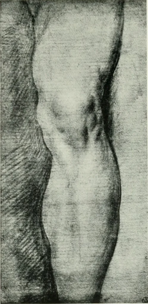 An illustration from The art of the great masters, as exemplified by drawings in the collection of Émile Wauters, membre de l'Académie royale de Belgique, 1913, leaf 210