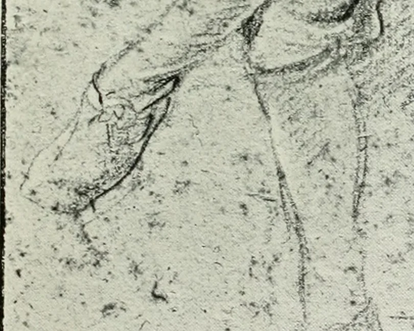 An illustration from The art of the great masters, as exemplified by drawings in the collection of Émile Wauters, membre de l'Académie royale de Belgique, 1913, leaf 280