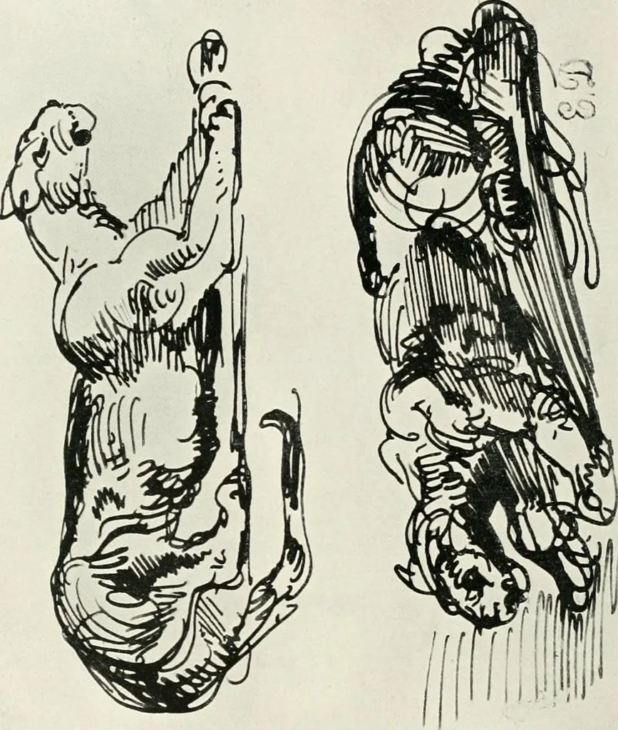 An illustration from The art of the great masters, as exemplified by drawings in the collection of Émile Wauters, membre de l'Académie royale de Belgique, 1913, leaf 319