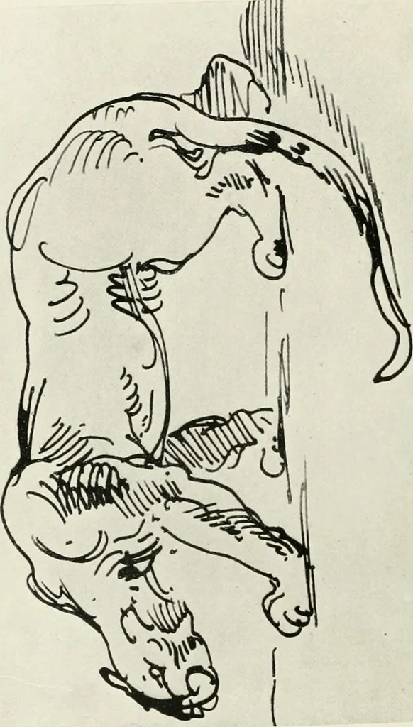 An illustration from The art of the great masters, as exemplified by drawings in the collection of Émile Wauters, membre de l'Académie royale de Belgique, 1913, leaf 321