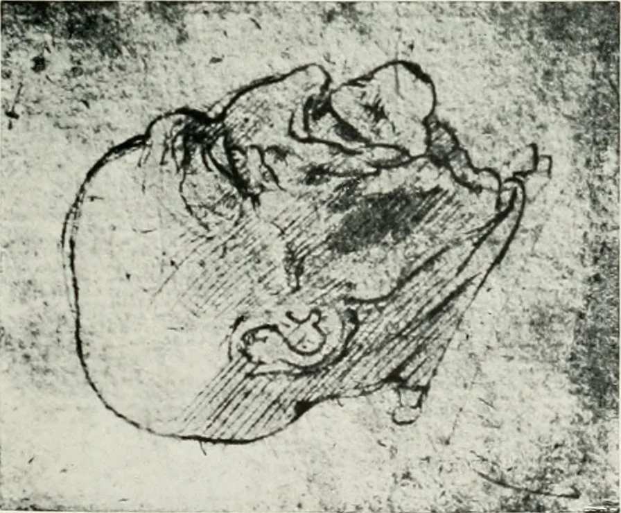 An illustration from The art of the great masters, as exemplified by drawings in the collection of Émile Wauters, membre de l'Académie royale de Belgique, 1913, leaf 52