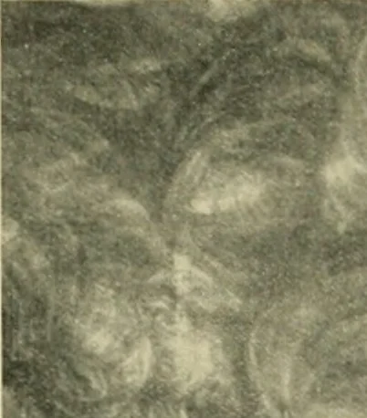 An illustration from The art of the great masters, as exemplified by drawings in the collection of Émile Wauters, membre de l'Académie royale de Belgique, 1913, leaf 92