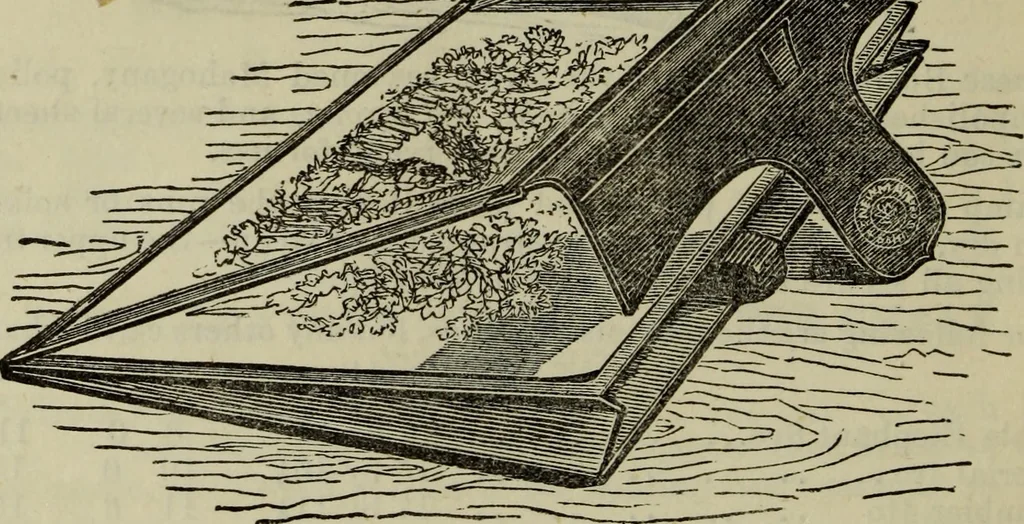 An illustration from The art of landscape painting in oil colours, 1880, leaf 95
