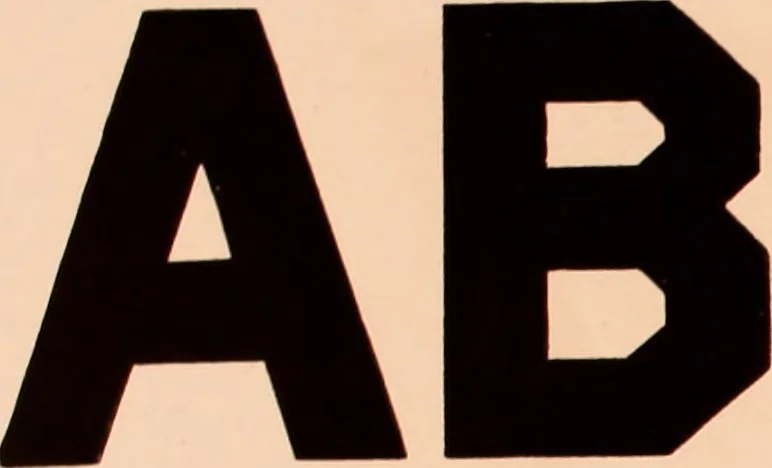 An illustration from The art of lettering and sign painter’s manual : a complete and practical illustration of the art of sign writing / by A. P. Boyce, 1878, leaf 16