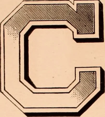 An illustration from The art of lettering and sign painter’s manual : a complete and practical illustration of the art of sign writing / by A. P. Boyce, 1878, leaf 22